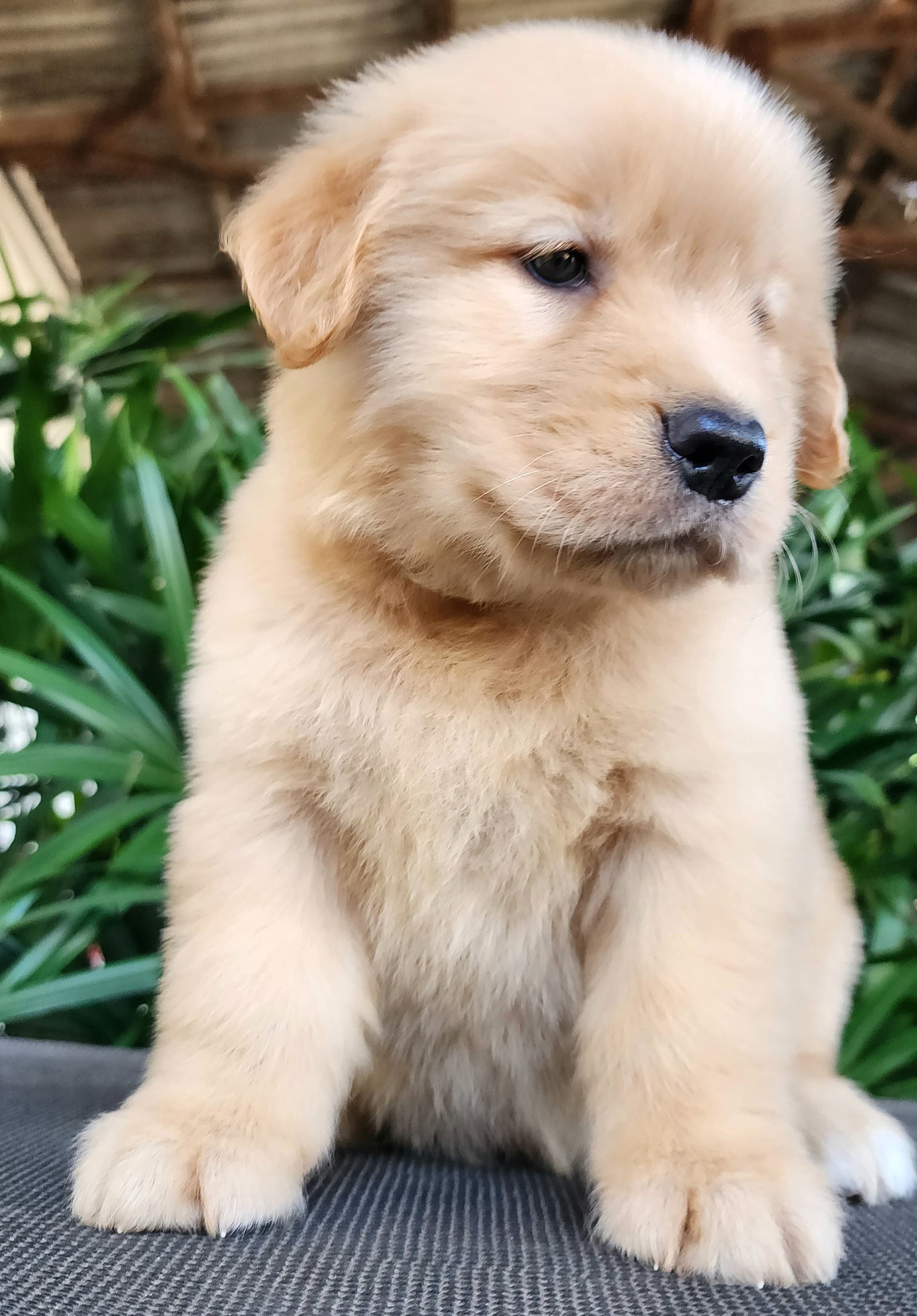 WhatsApp Image 2025-05-22 at 13.33.02.jpeg