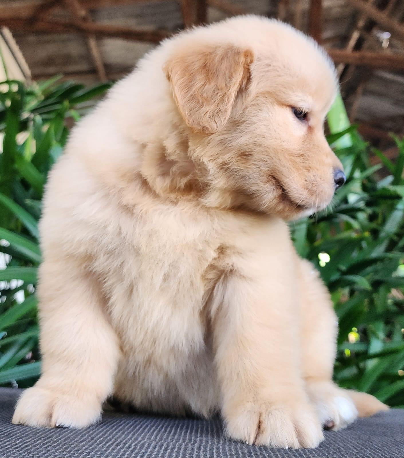 WhatsApp Image 2025-05-22 at 13.30.27.jpeg